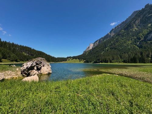 87B37E32-AB1D-4D1A-A7AD-391623599475