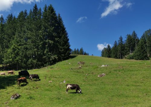 IMG 20240810 134257 edit 193804101765739