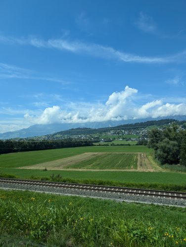 PXL 20240809 112629228