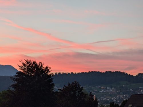 PXL 20240809 190131232