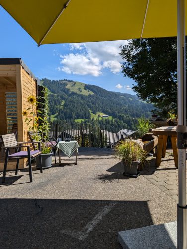 PXL 20240811 132313537